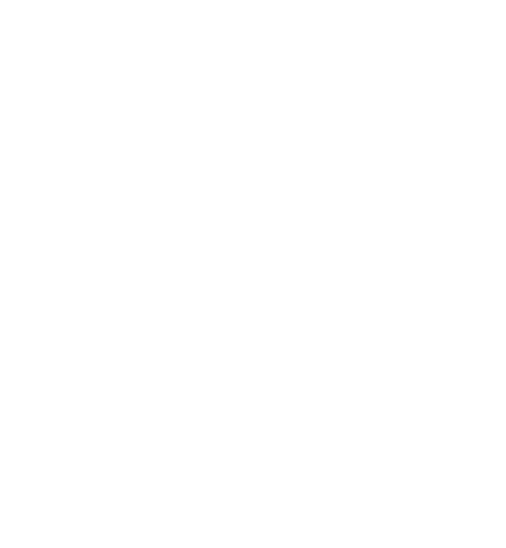 Archie, the Arcadia bear